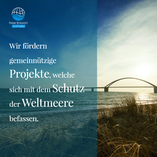 thaterImmobilien thaterImmobilien slide 5