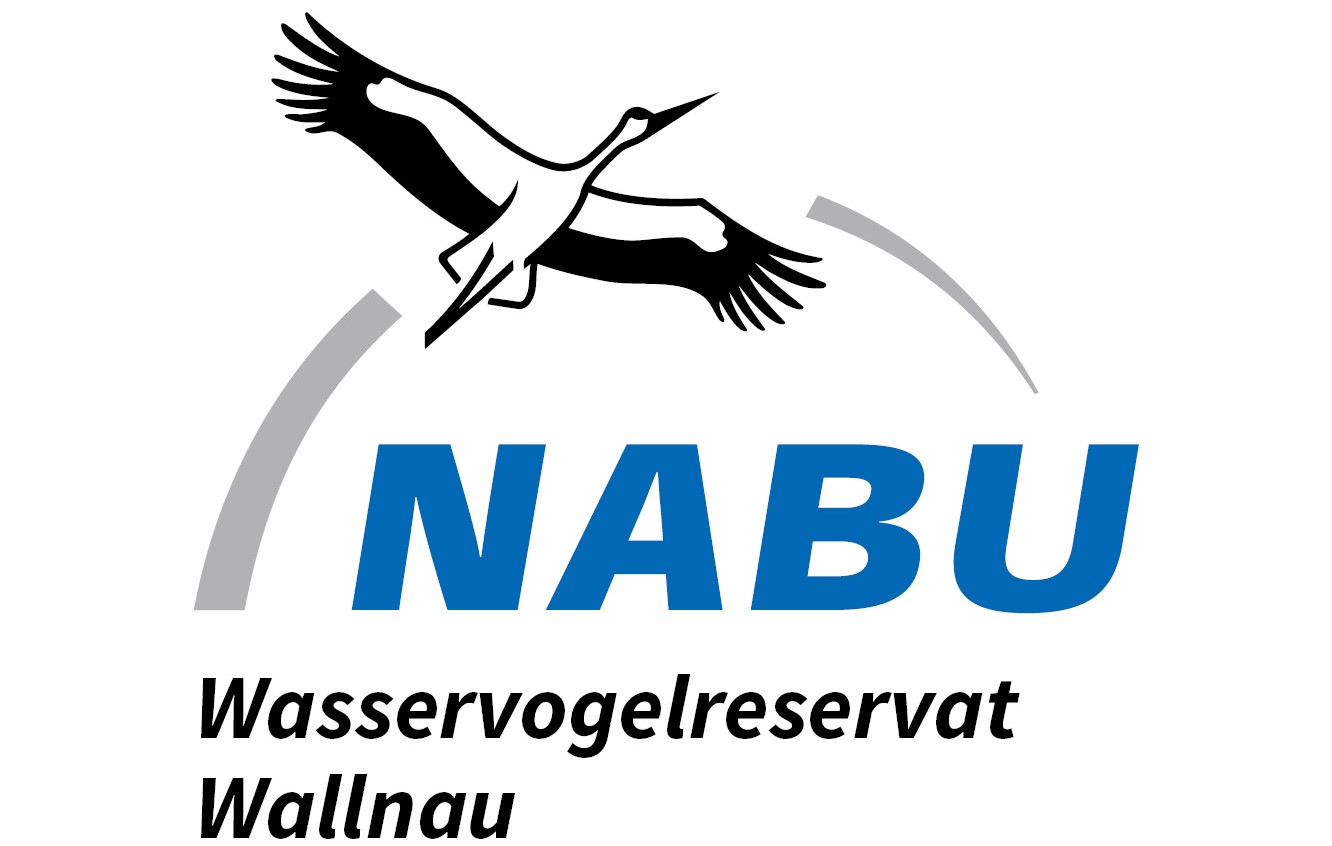 Nabu